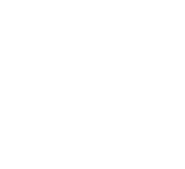 From the Sea to the City