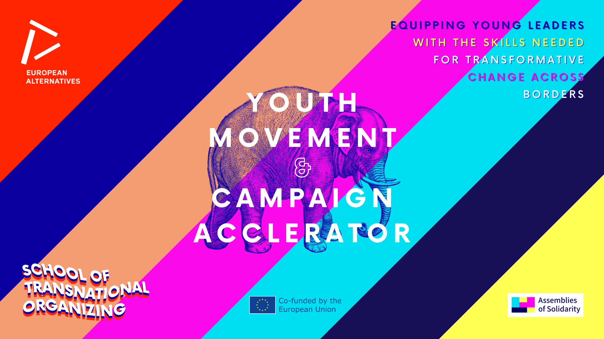 Youth Movement & Campaign Accelerator